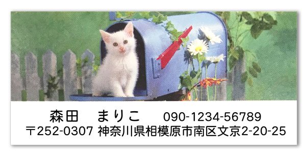 画像1: 子猫ねことポストの可愛いアドレスラベル (1)